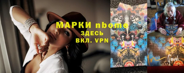 индика Покров